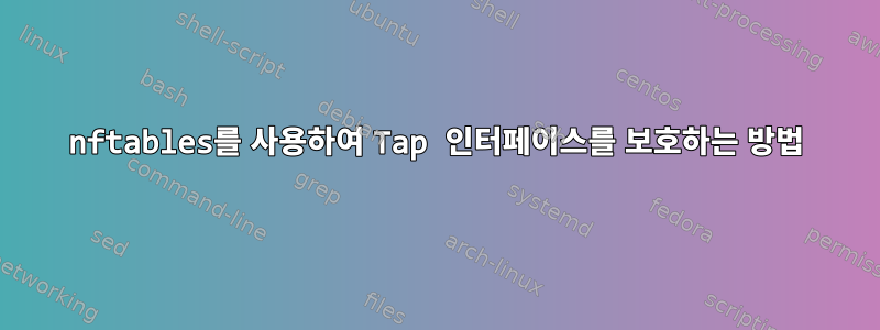 nftables를 사용하여 Tap 인터페이스를 보호하는 방법