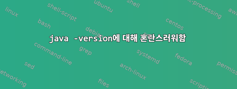 java -version에 대해 혼란스러워함