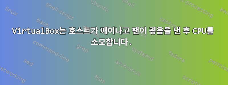 VirtualBox는 호스트가 깨어나고 팬이 굉음을 낸 후 CPU를 소모합니다.