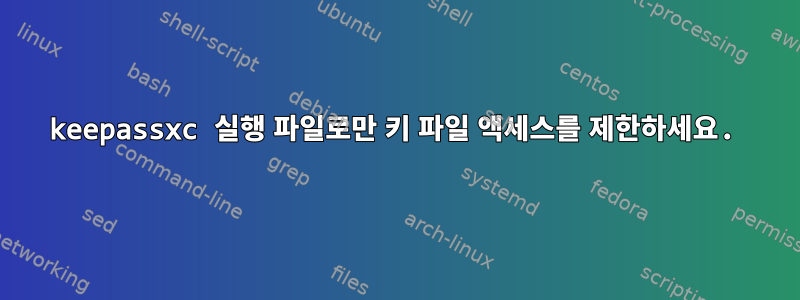 keepassxc 실행 파일로만 키 파일 액세스를 제한하세요.