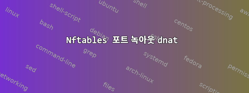 Nftables 포트 녹아웃 dnat