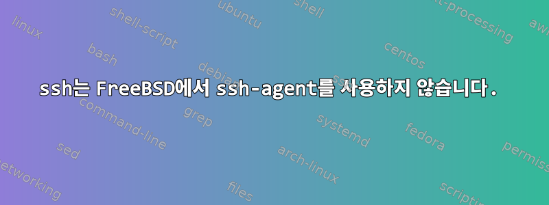 ssh는 FreeBSD에서 ssh-agent를 사용하지 않습니다.