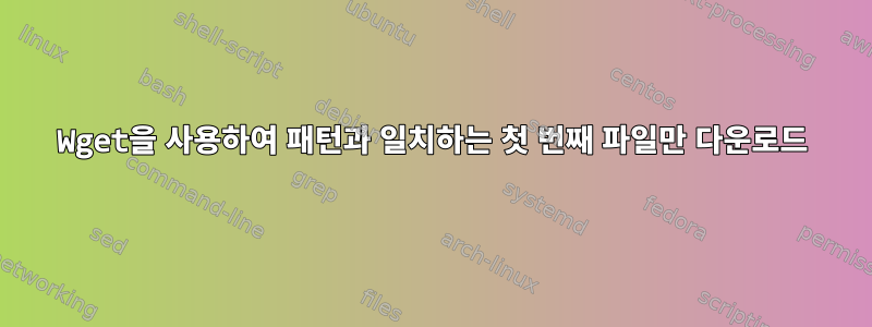 Wget을 사용하여 패턴과 일치하는 첫 번째 파일만 다운로드