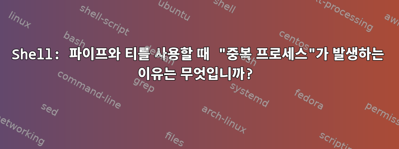 Shell: 파이프와 티를 사용할 때 "중복 프로세스"가 발생하는 이유는 무엇입니까?