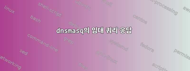 dnsmasq의 임대 쿼리 응답