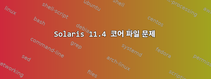 Solaris 11.4 코어 파일 문제