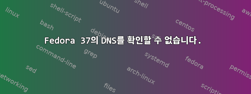 Fedora 37의 DNS를 확인할 수 없습니다.