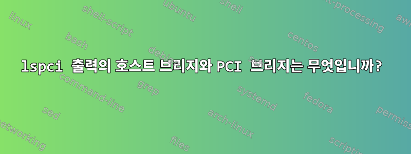 lspci 출력의 호스트 브리지와 PCI 브리지는 무엇입니까?