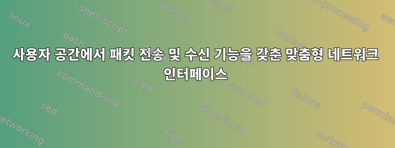 사용자 공간에서 패킷 전송 및 수신 기능을 갖춘 맞춤형 네트워크 인터페이스