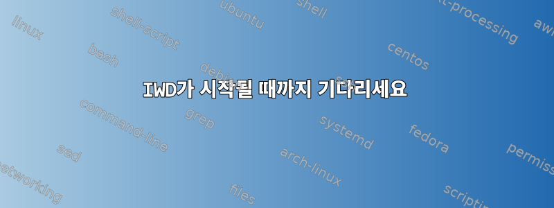 IWD가 시작될 때까지 기다리세요