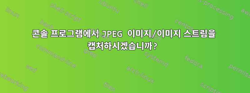 콘솔 프로그램에서 JPEG 이미지/이미지 스트림을 캡처하시겠습니까?