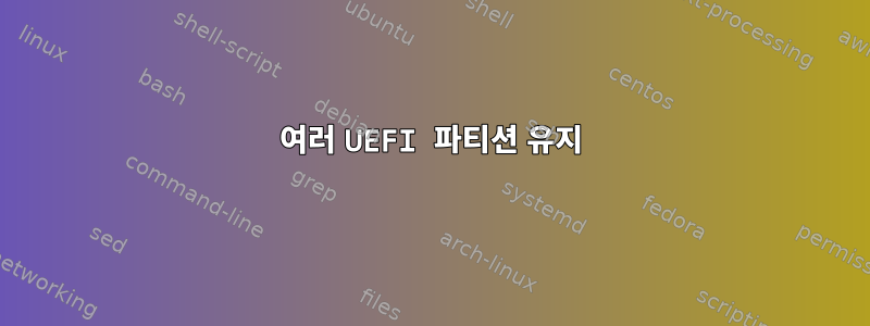 여러 UEFI 파티션 유지