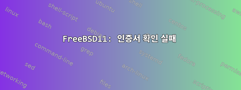 FreeBSD11: 인증서 확인 실패