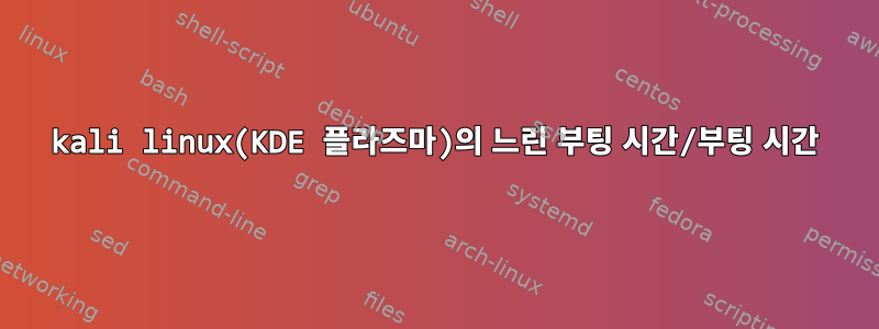 kali linux(KDE 플라즈마)의 느린 부팅 시간/부팅 시간