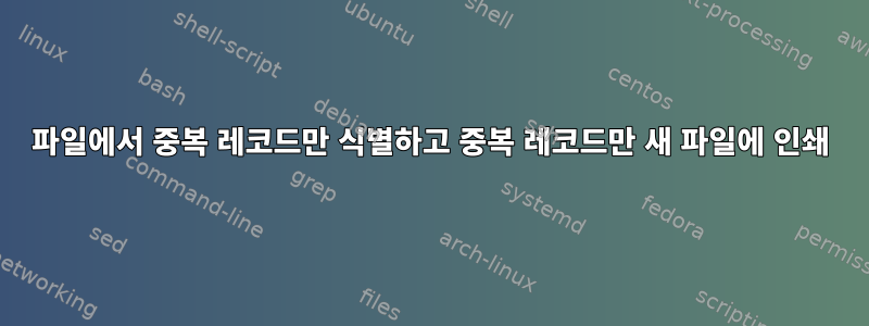 파일에서 중복 레코드만 식별하고 중복 레코드만 새 파일에 인쇄