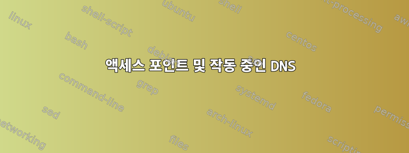 액세스 포인트 및 작동 중인 DNS