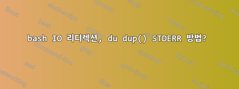 bash IO 리디렉션, du dup() STDERR 방법?