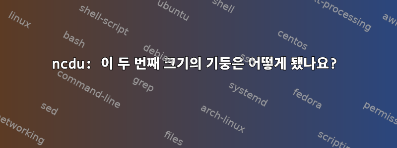 ncdu: 이 두 번째 크기의 기둥은 어떻게 됐나요?