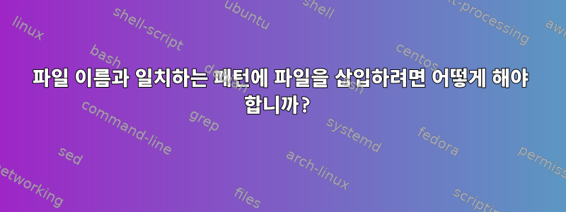 파일 이름과 일치하는 패턴에 파일을 삽입하려면 어떻게 해야 합니까?