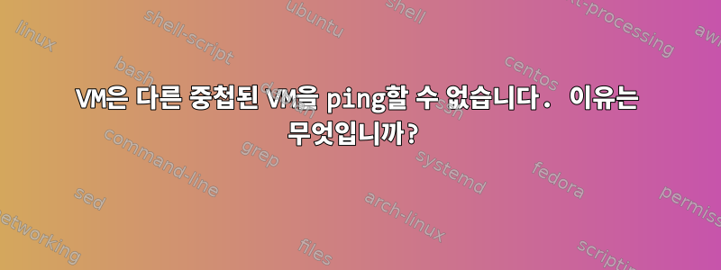 VM은 다른 중첩된 VM을 ping할 수 없습니다. 이유는 무엇입니까?