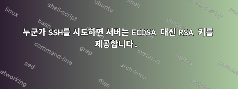 누군가 SSH를 시도하면 서버는 ECDSA 대신 RSA 키를 제공합니다.