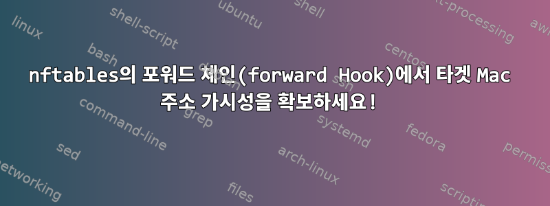 nftables의 포워드 체인(forward Hook)에서 타겟 Mac 주소 가시성을 확보하세요!