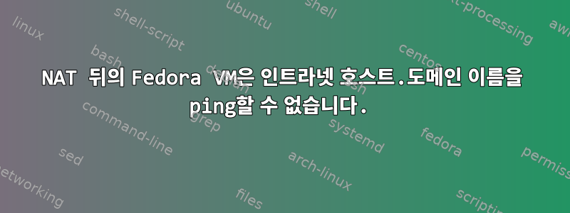 NAT 뒤의 Fedora VM은 인트라넷 호스트.도메인 이름을 ping할 수 없습니다.