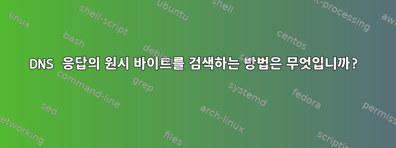 DNS 응답의 원시 바이트를 검색하는 방법은 무엇입니까?