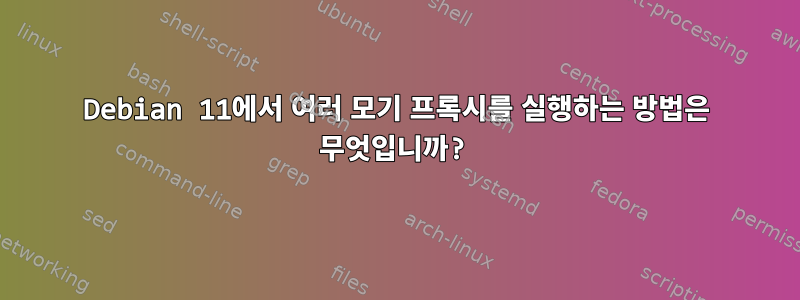 Debian 11에서 여러 모기 프록시를 실행하는 방법은 무엇입니까?