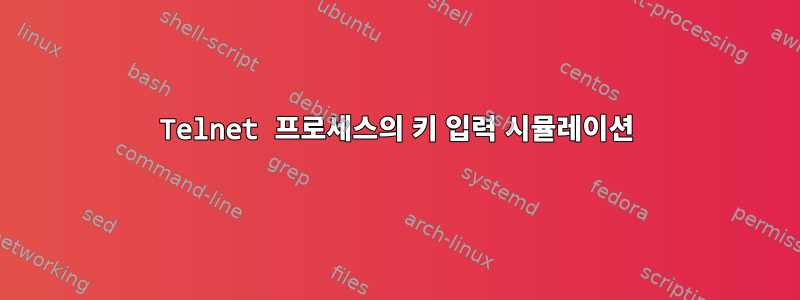 Telnet 프로세스의 키 입력 시뮬레이션