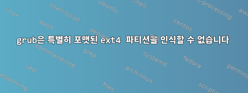 grub은 특별히 포맷된 ext4 파티션을 인식할 수 없습니다