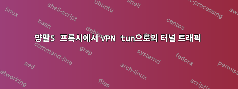 양말5 프록시에서 VPN tun으로의 터널 트래픽