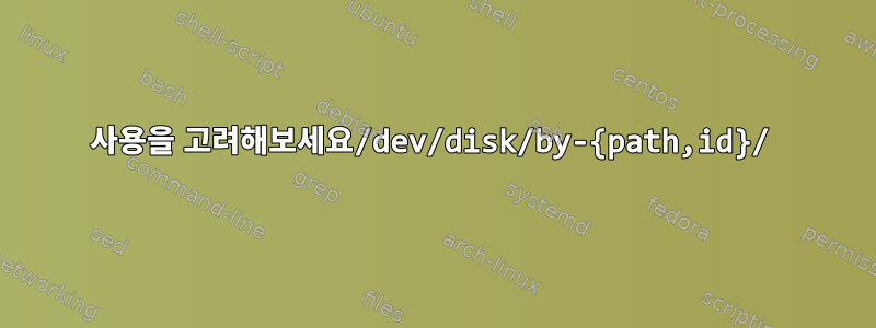 사용을 고려해보세요/dev/disk/by-{path,id}/