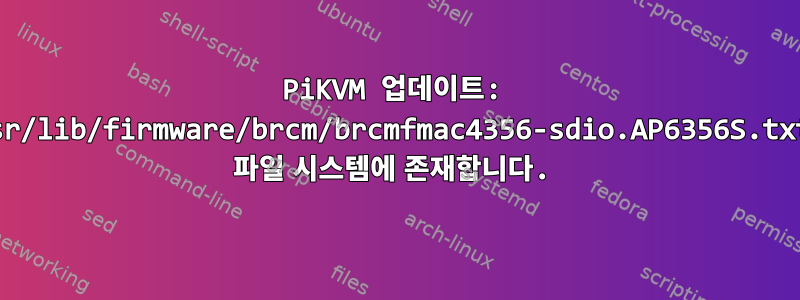 PiKVM 업데이트: /usr/lib/firmware/brcm/brcmfmac4356-sdio.AP6356S.txt가 파일 시스템에 존재합니다.