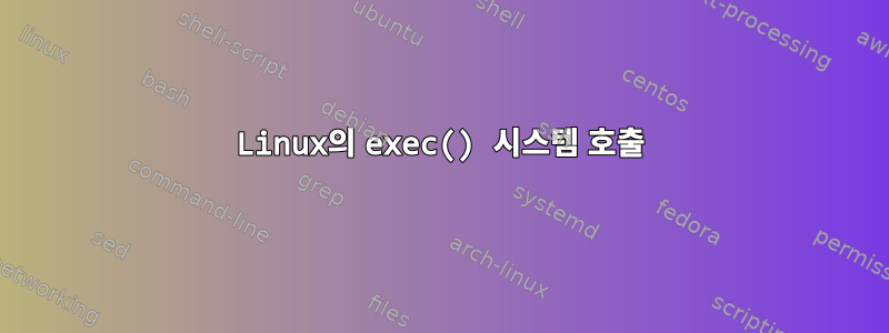 Linux의 exec() 시스템 호출