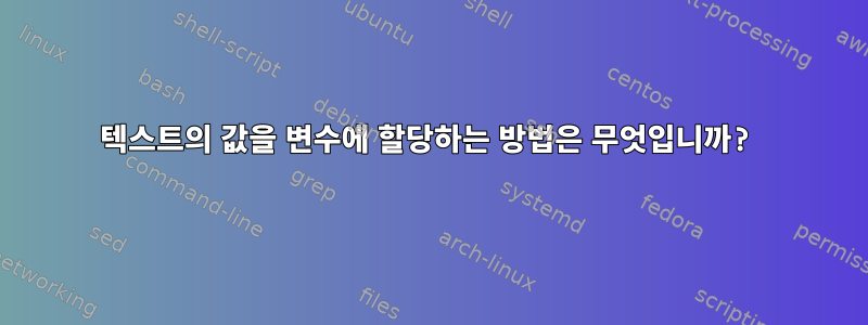 텍스트의 값을 변수에 할당하는 방법은 무엇입니까?