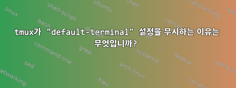 tmux가 "default-terminal" 설정을 무시하는 이유는 무엇입니까?