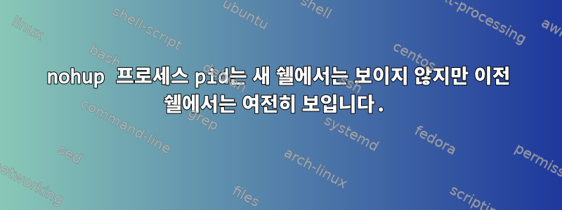 nohup 프로세스 pid는 새 쉘에서는 보이지 않지만 이전 쉘에서는 여전히 보입니다.