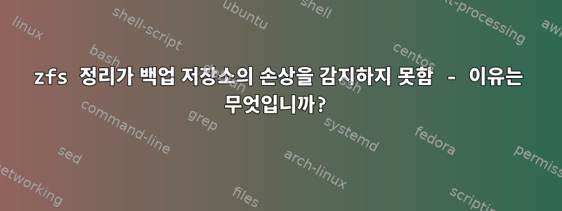 zfs 정리가 백업 저장소의 손상을 감지하지 못함 - 이유는 무엇입니까?