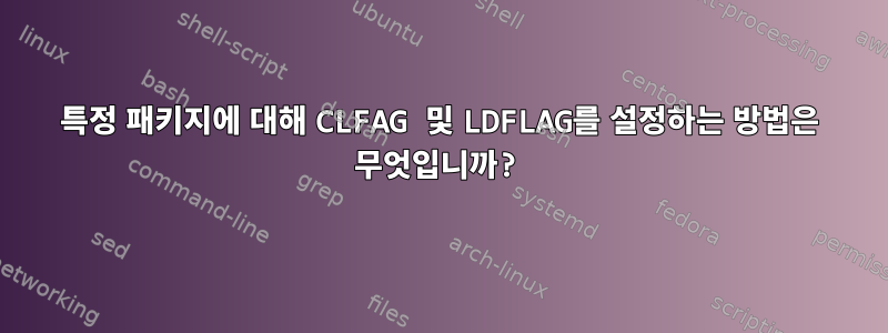 특정 패키지에 대해 CLFAG 및 LDFLAG를 설정하는 방법은 무엇입니까?