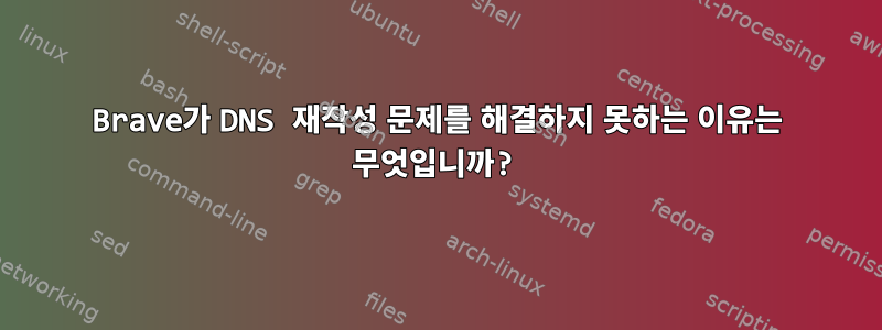 Brave가 DNS 재작성 문제를 해결하지 못하는 이유는 무엇입니까?