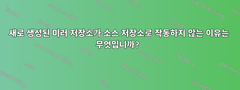 새로 생성된 미러 저장소가 소스 저장소로 작동하지 않는 이유는 무엇입니까?