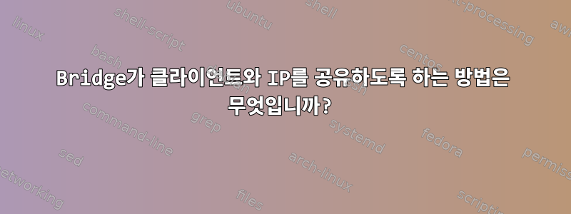 Bridge가 클라이언트와 IP를 공유하도록 하는 방법은 무엇입니까?