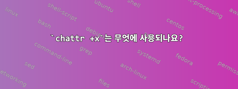 `chattr +x`는 무엇에 사용되나요?