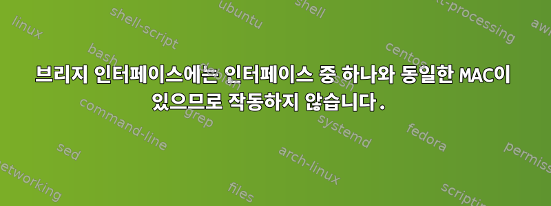 브리지 인터페이스에는 인터페이스 중 하나와 동일한 MAC이 있으므로 작동하지 않습니다.