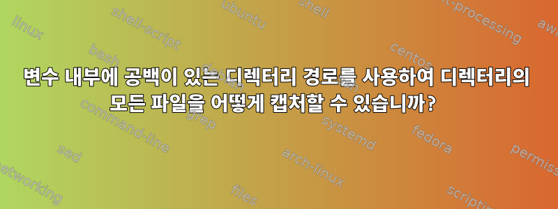 변수 내부에 공백이 있는 디렉터리 경로를 사용하여 디렉터리의 모든 파일을 어떻게 캡처할 수 있습니까?