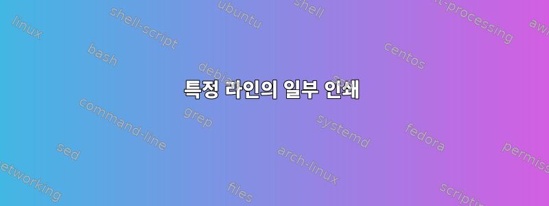 특정 라인의 일부 인쇄