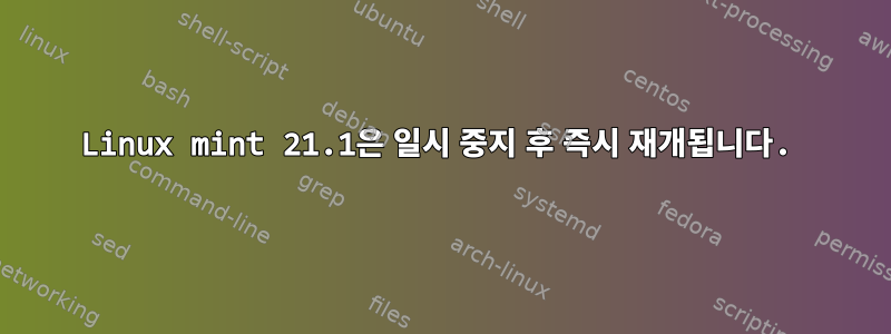 Linux mint 21.1은 일시 중지 후 즉시 재개됩니다.