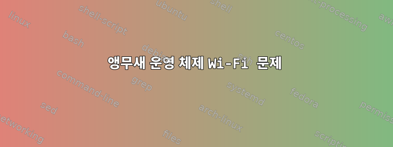 앵무새 운영 체제 Wi-Fi 문제