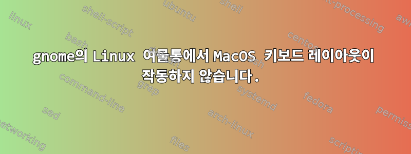 gnome의 Linux 여물통에서 MacOS 키보드 레이아웃이 작동하지 않습니다.